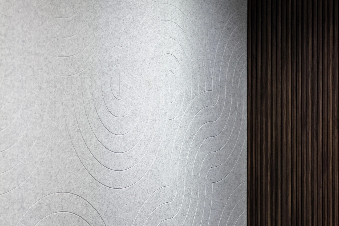 EscuelaSuperiorNormalistas-3